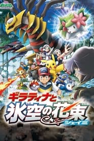 Pokemon Giratina and the Sky Warrior (2008)