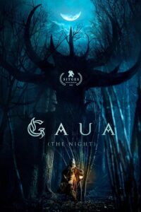 Gaua / The Night  (2025)